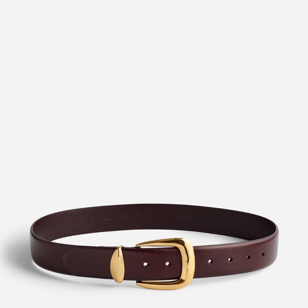 Madewell Chunky Metal Statement Belt in Chocolate Raisin
